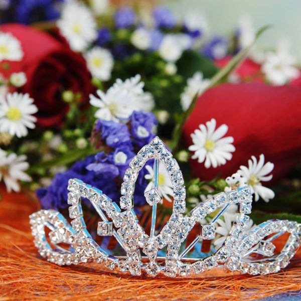 https://mbfaf2.betasitelive.com/wp-content/uploads/2019/04/ppt_image-600x600.jpg